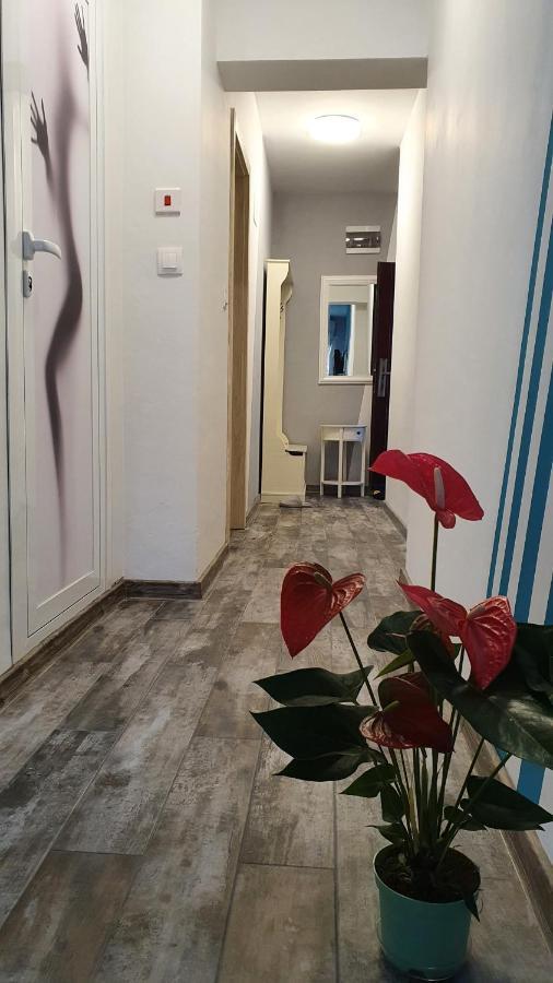 Apartament Sanny Apartment Plovdiv Ngoại thất bức ảnh